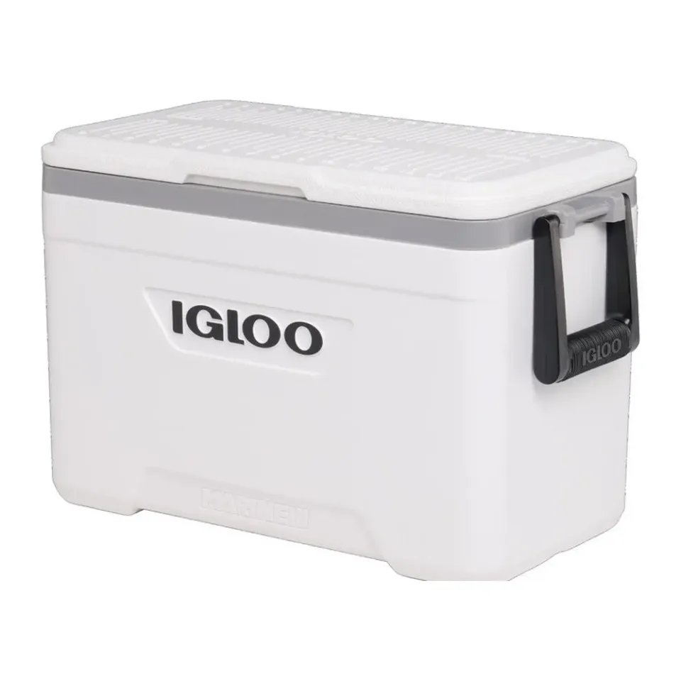 Igloo Marine Ultra 25 glacière rigide 23 L