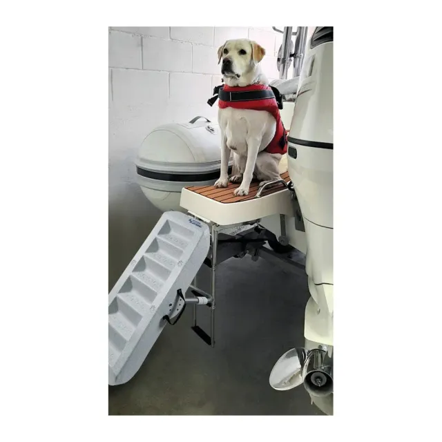 easysea Paws Up rampe pour chien 3 positions antidérapante