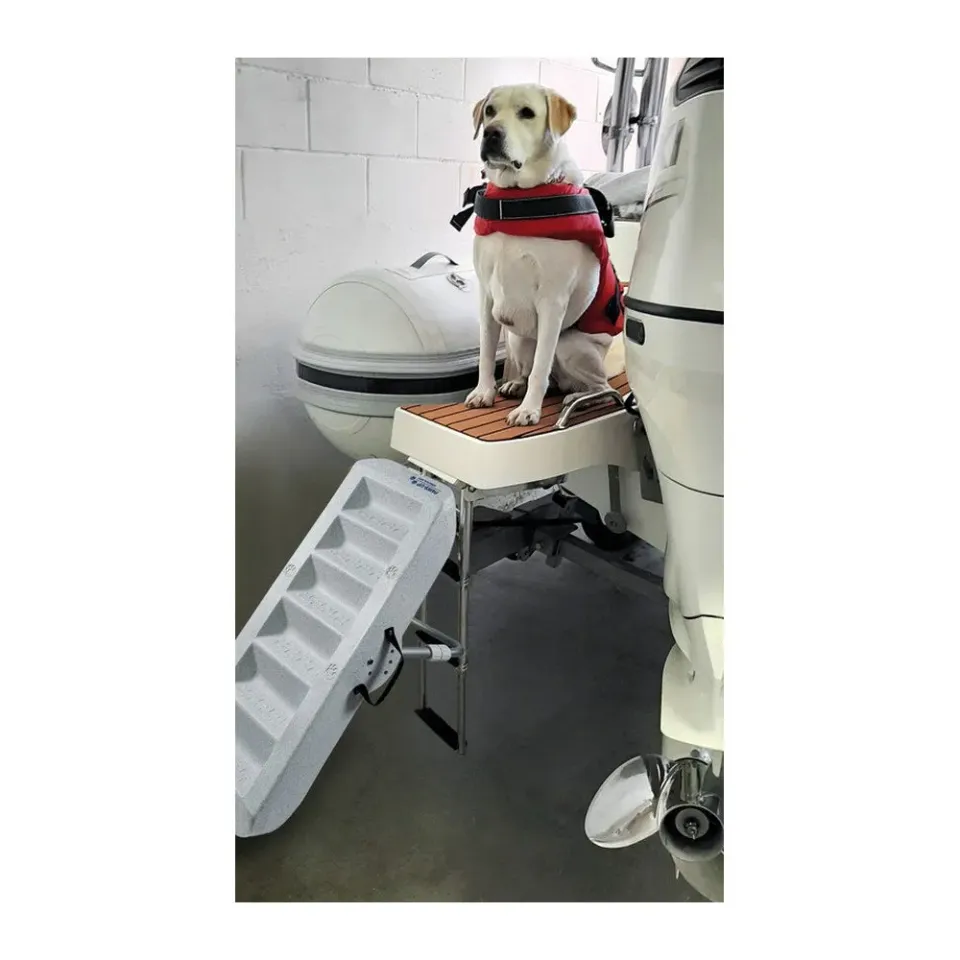 easysea Paws Up rampe pour chien 3 positions antidérapante