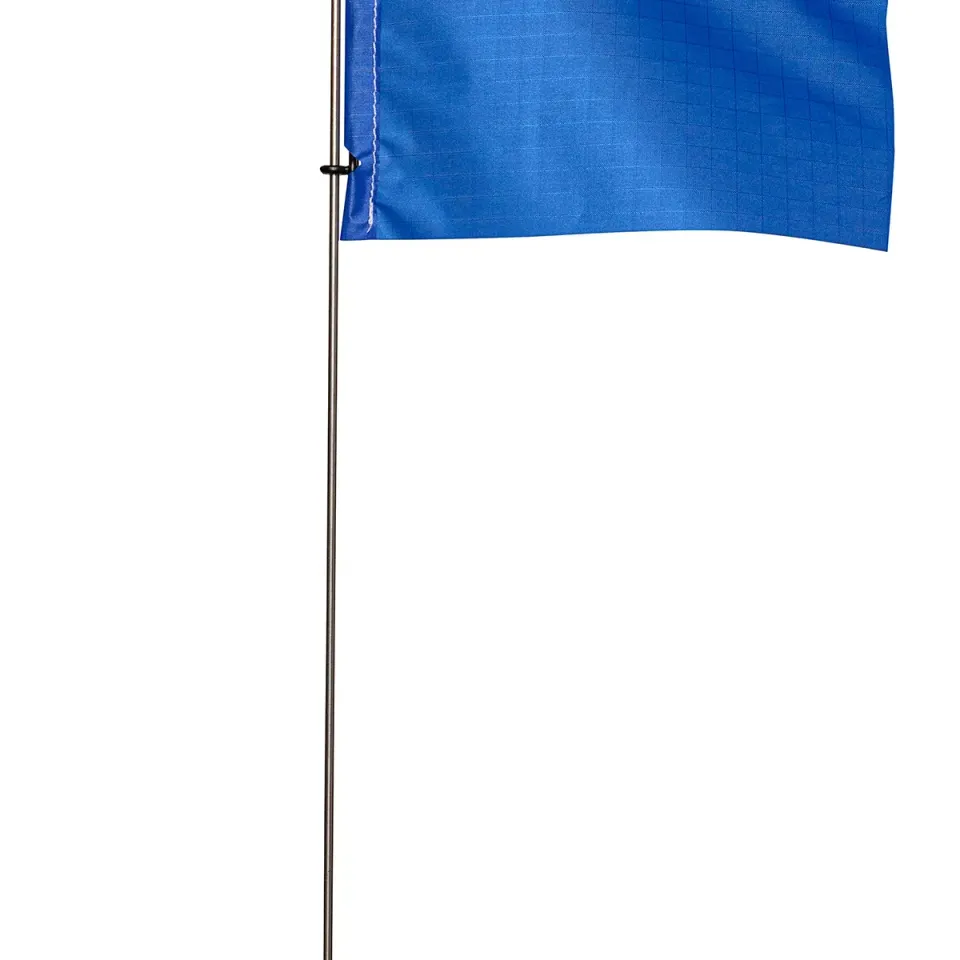 RWO R7496 Pennant guidon course lot 10