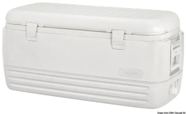 Igloo Polar 120 glacière rigide 114 L avec bouchon