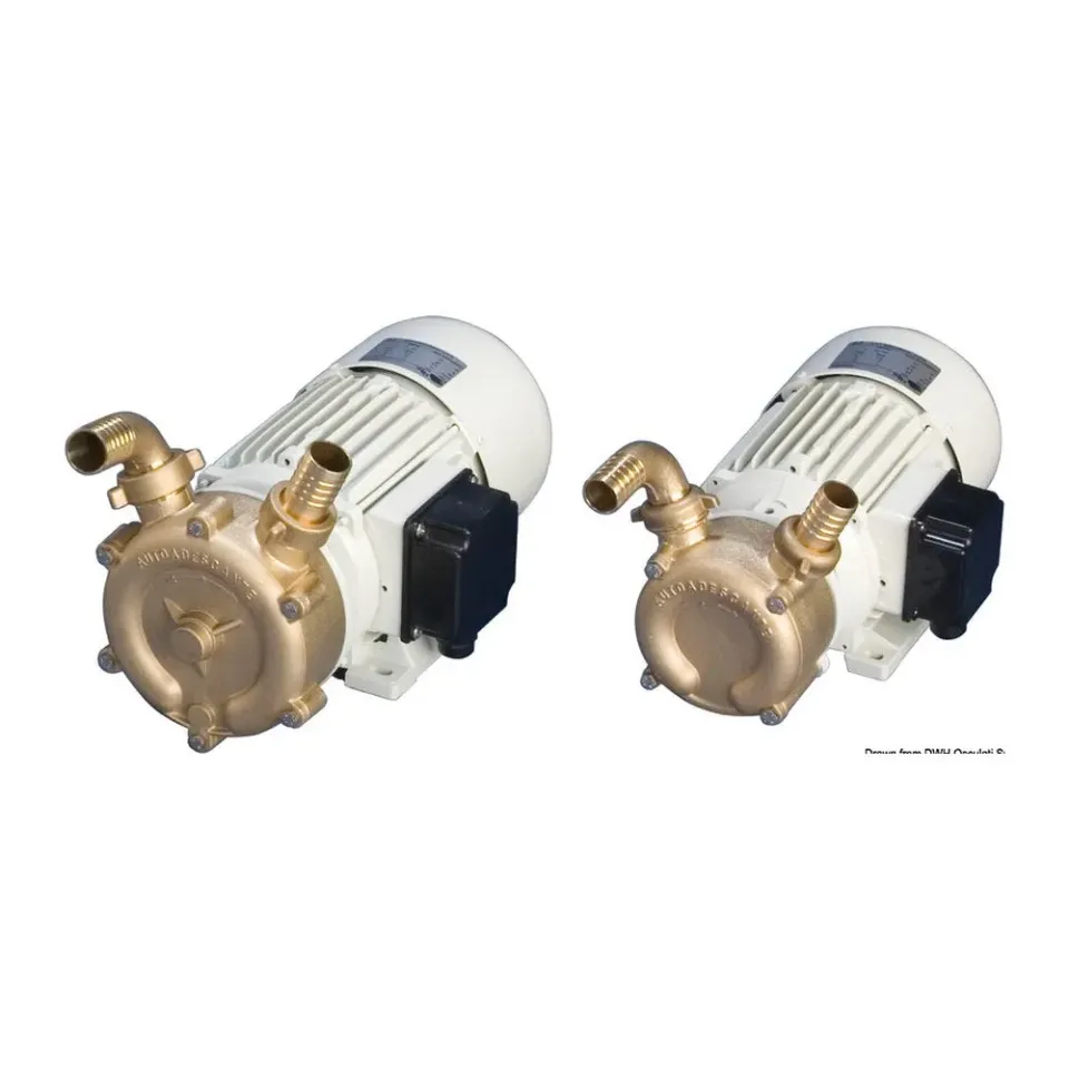 easysea Pompe bronze auto-amorçante 75 L/min cale